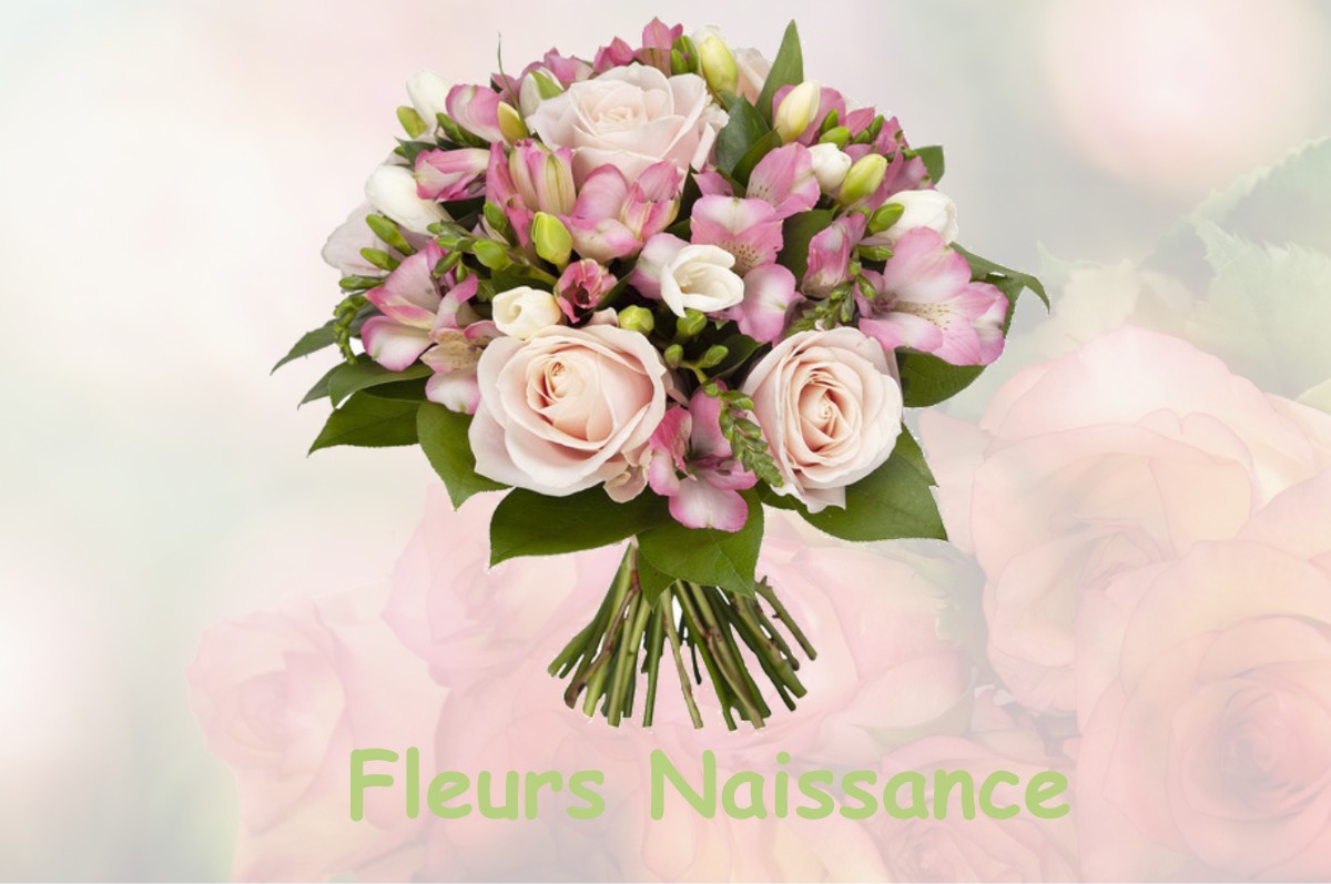 fleurs naissance CHAUSSIN