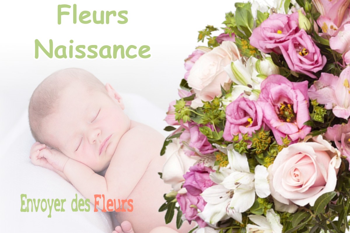 lIVRAISON FLEURS NAISSANCE à CHAUSSIN